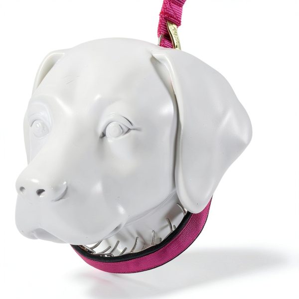 Keeper Collars Dog Pinch Collar Chrome Links-3