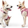 Tactical Dog Collar OneTigris Nylon Design-1