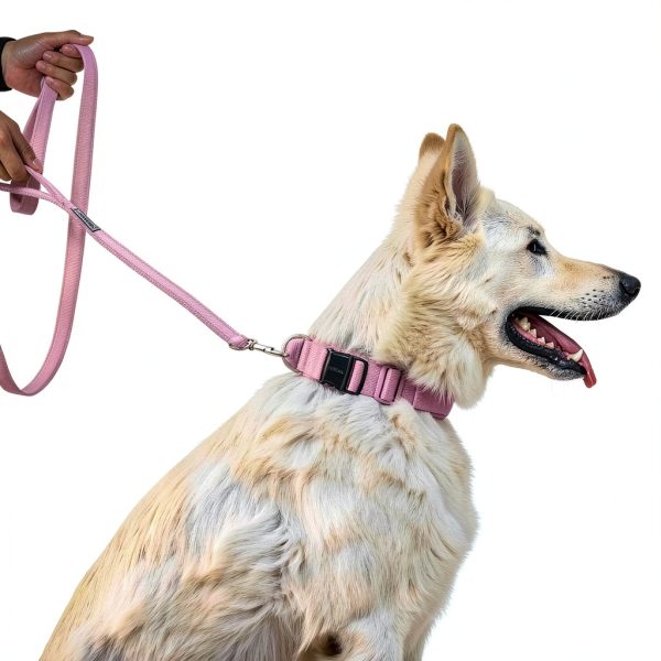 Tactical Dog Collar OneTigris Nylon Design-4