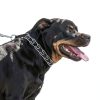 Titan Easy-On Dog Prong Training Collar Black-1