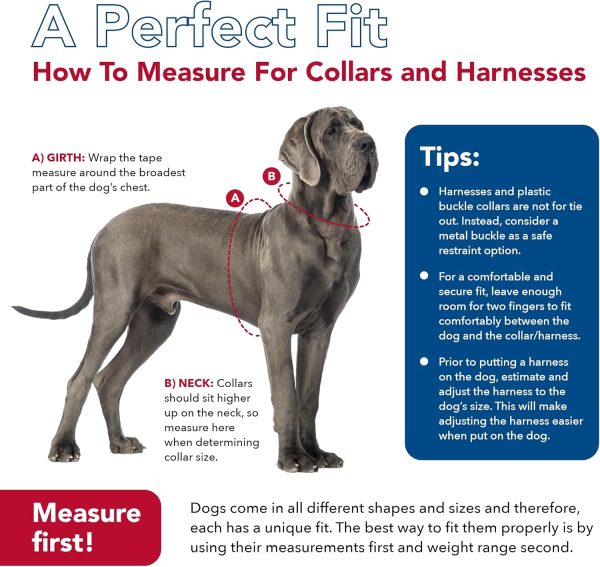 Titan Easy-On Dog Prong Training Collar Black-6