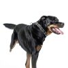 Titan Easy-On Dog Prong Training Collar Black-4
