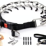 Dog Training Collar EOEDEPAZ Soft Rubber-0