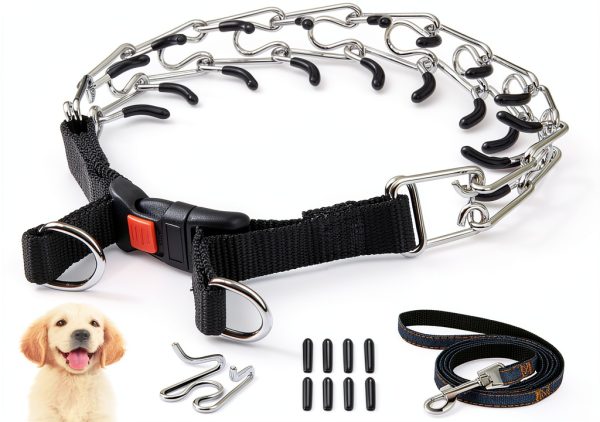 Dog Training Collar EOEDEPAZ Soft Rubber-0