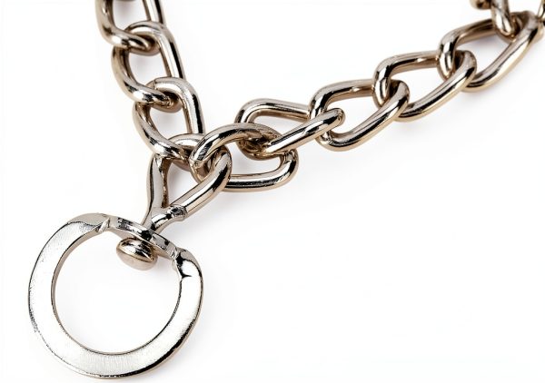 Dog Pinch Collars by Azinoo Adjustable Stainless Steel-2