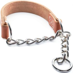 Joel Silverman Leather Dog Collar Chain Combo Training-0