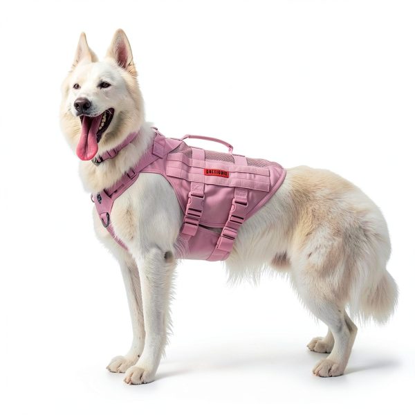 Tactical Dog Collar OneTigris Nylon Design-5