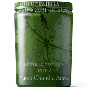 Makunaima Spanish Literary Criticism Ebook Postmodernism-0