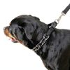 Titan Easy-On Dog Prong Training Collar Black-3