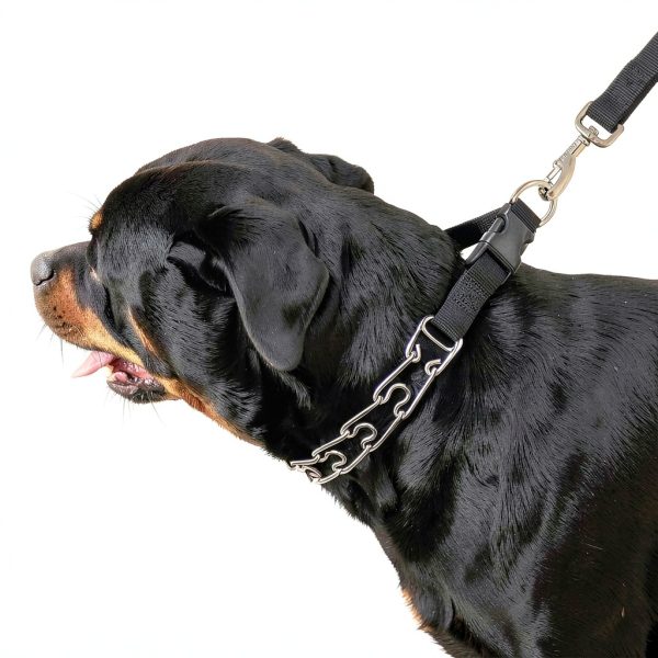 Titan Easy-On Dog Prong Training Collar Black-3