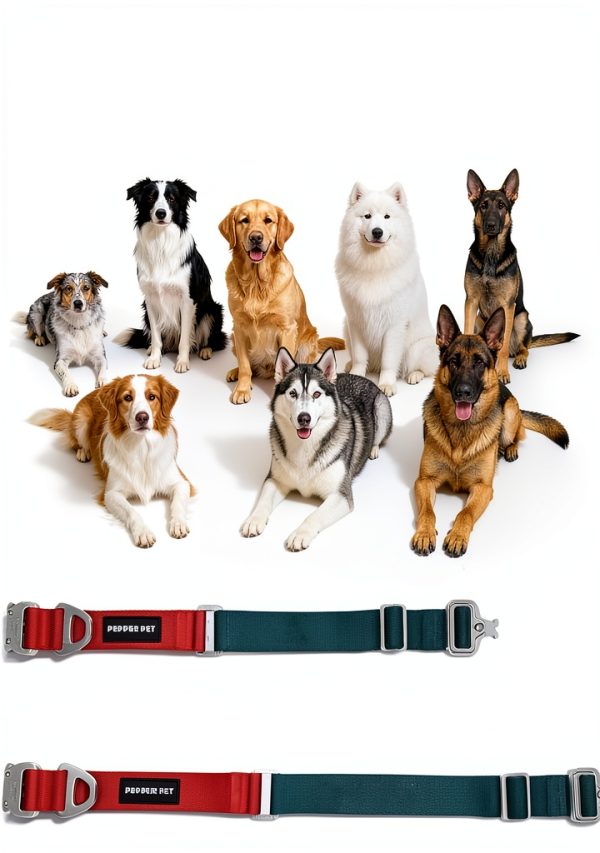 Dog Collar Pepper Pet Aluminum Quick Release-3