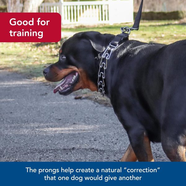 Titan Easy-On Dog Prong Training Collar Black-2