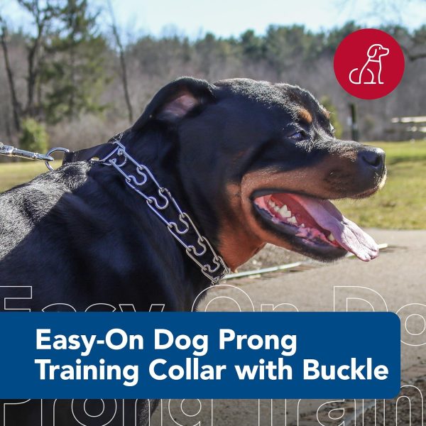 Titan Easy-On Dog Prong Training Collar Black-1