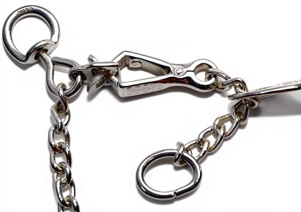 Coastal Pet Products Dog Pinch Collar 2.25 mm x 16 inches-6