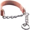 Joel Silverman Leather Dog Collar Chain Combo Training-0