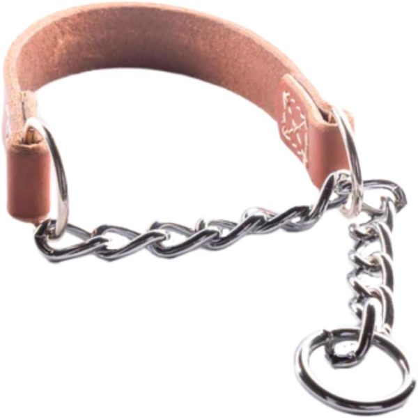 Joel Silverman Leather Dog Collar Chain Combo Training-0