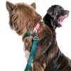 Dog Collar Pepper Pet Aluminum Quick Release-4