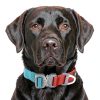 Dog Collar Pepper Pet Aluminum Quick Release-6