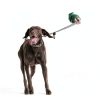 JIPIMON Dog Pinch Training Collar Stainless Steel-6