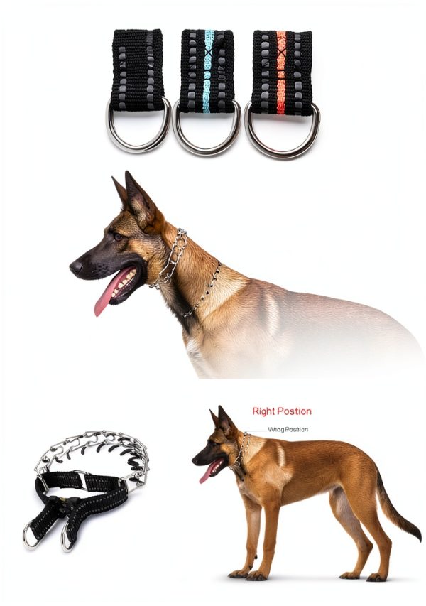 JIPIMON Dog Pinch Training Collar Stainless Steel-5