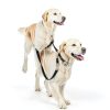 JIPIMON Pinch Training Collar Stainless Steel-1