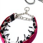 Dog Pinch Collar HAESINPA Quick Release Training-0