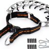 JIPIMON Pinch Training Collar Stainless Steel-0