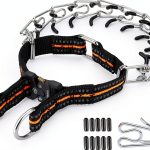 JIPIMON Pinch Training Collar Stainless Steel-0