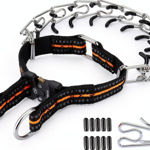 JIPIMON Pinch Training Collar Stainless Steel-0