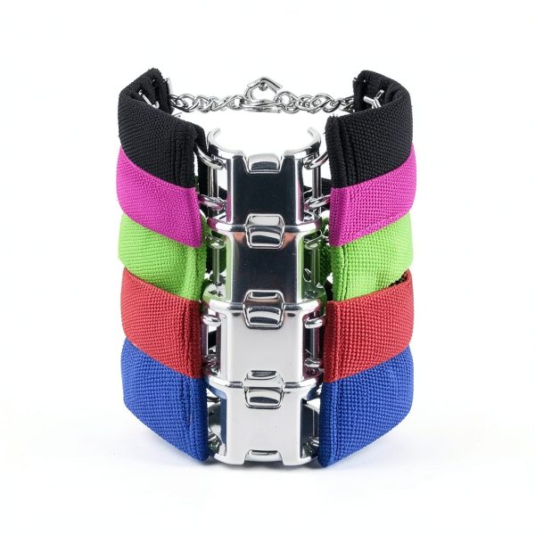 Dog Pinch Collar HAESINPA Quick Release Training-4