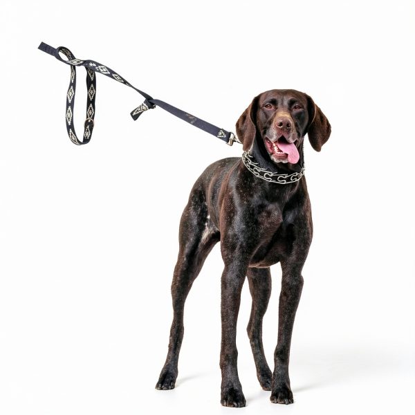 JIPIMON Dog Pinch Collar Training-2