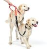 JIPIMON Dog Pinch Collar Training-1