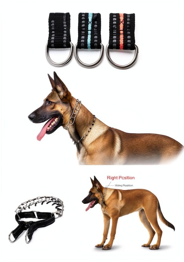 JIPIMON Pinch Training Collar Stainless Steel-5