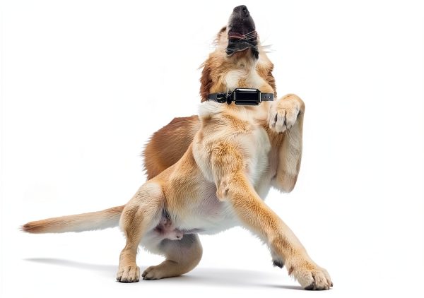 Sliverdew Dog Pinch Collar Cover Rubber 16mm-4