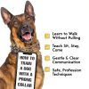 PetJett Dog Prong Collar Stainless Steel-6