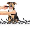 PetJett Dog Prong Collar Stainless Steel-2