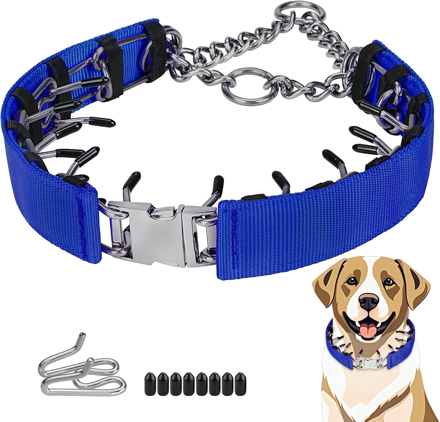 Dog wearing Toptakeit prong collar during a walk