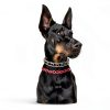 DEYACE Stainless Steel Dog Training Collar-5