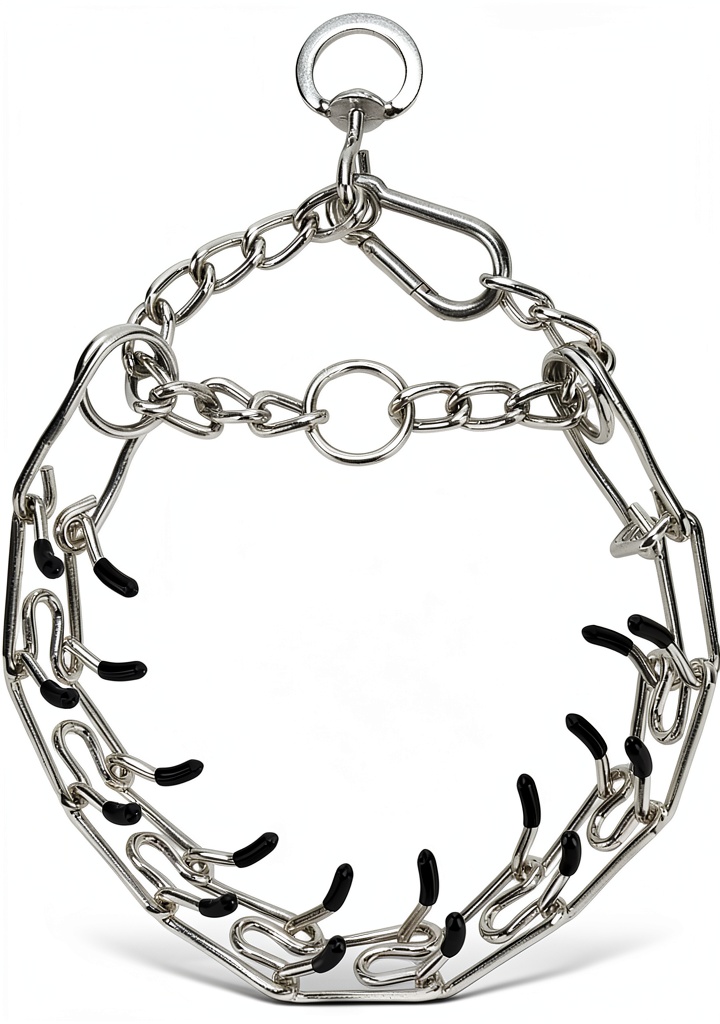 Dog wearing DEYACE stainless steel training collar during a park walk