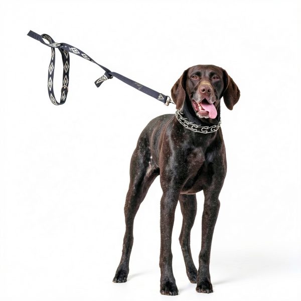 JIPIMON Dog Pinch Training Collar Stainless Steel-2
