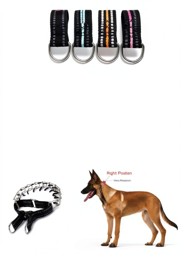 JIPIMON Dog Pinch Collar Training-5