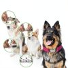 Dog Pinch Collar HAESINPA Quick Release Training-5