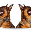 PetJett Dog Prong Collar Stainless Steel-5