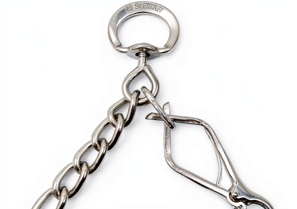 Dog Pinch Collar Pet Supply Imports Steel-5