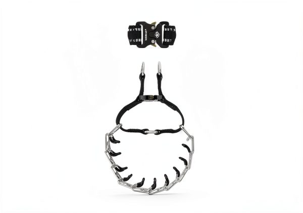 JIPIMON Pinch Training Collar Stainless Steel-3
