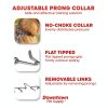 Dog Prong Collar Chrome Downtown Pet Supply-2