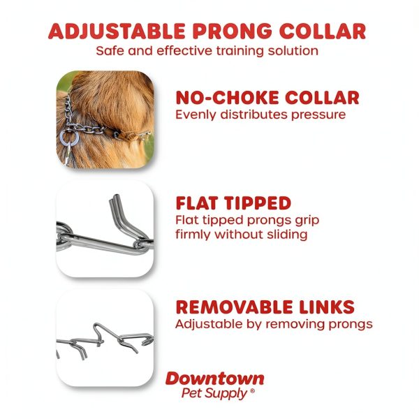 Dog Prong Collar Chrome Downtown Pet Supply-2