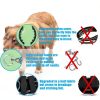Dog Pinch Collar HAESINPA Quick Release Training-1