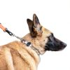 Dog Training Prong Collar Ultra-Plus Stainless Steel HS Herm Sprenger-4